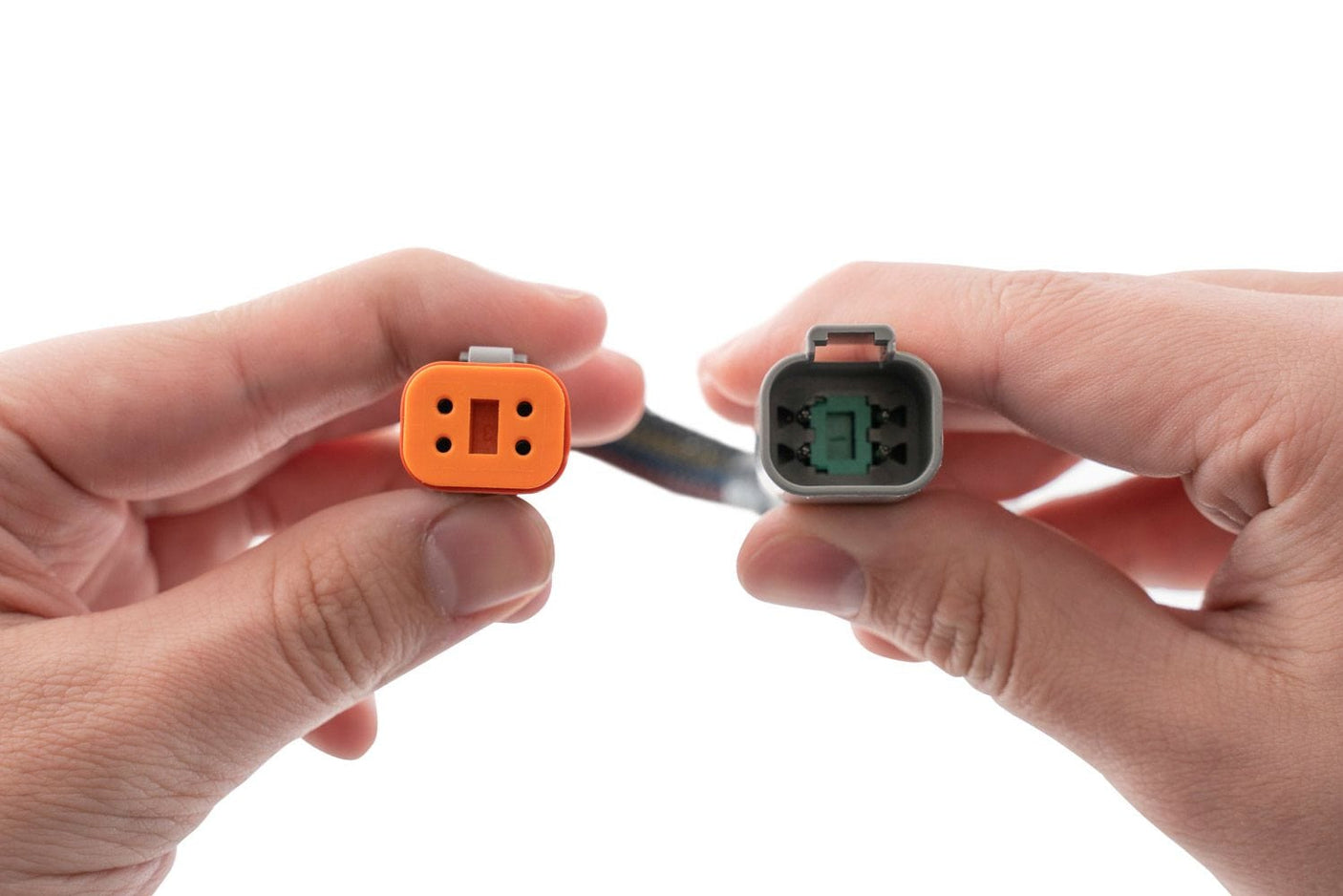 Diode Dynamics SS5 CrossLink Splitter Harness (One)