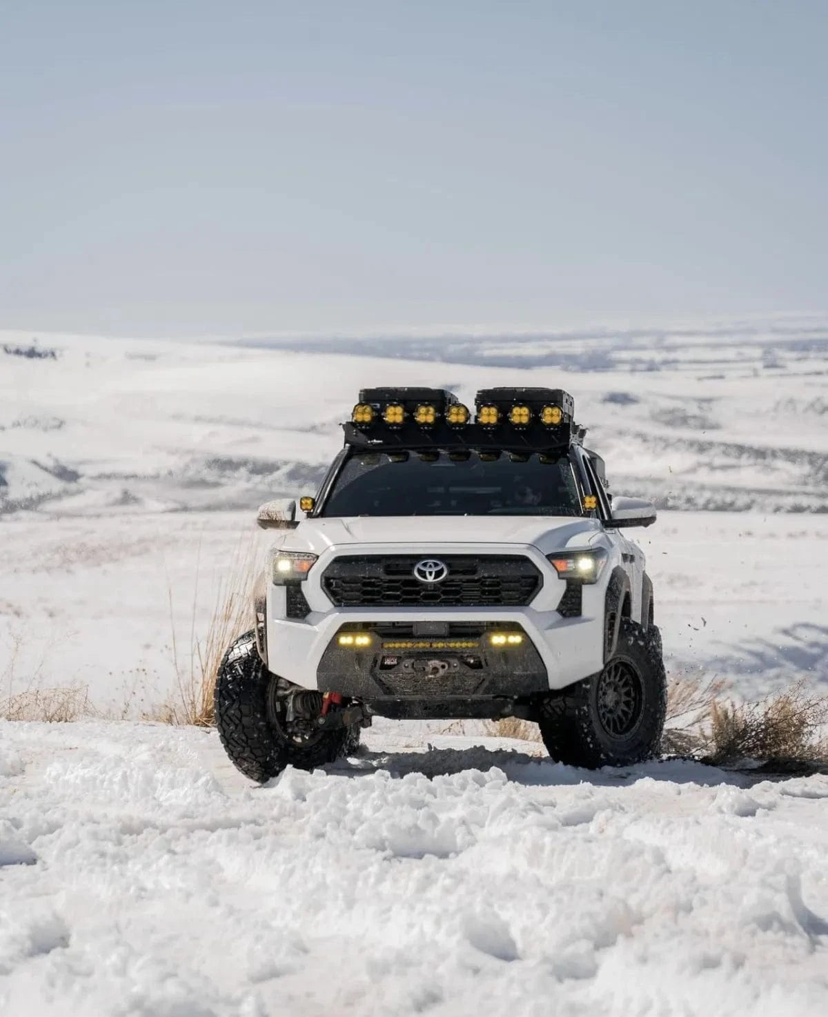 Peak Suspension Peak Suspension Upper Control Arms: 4th Gen Toyota Tacoma