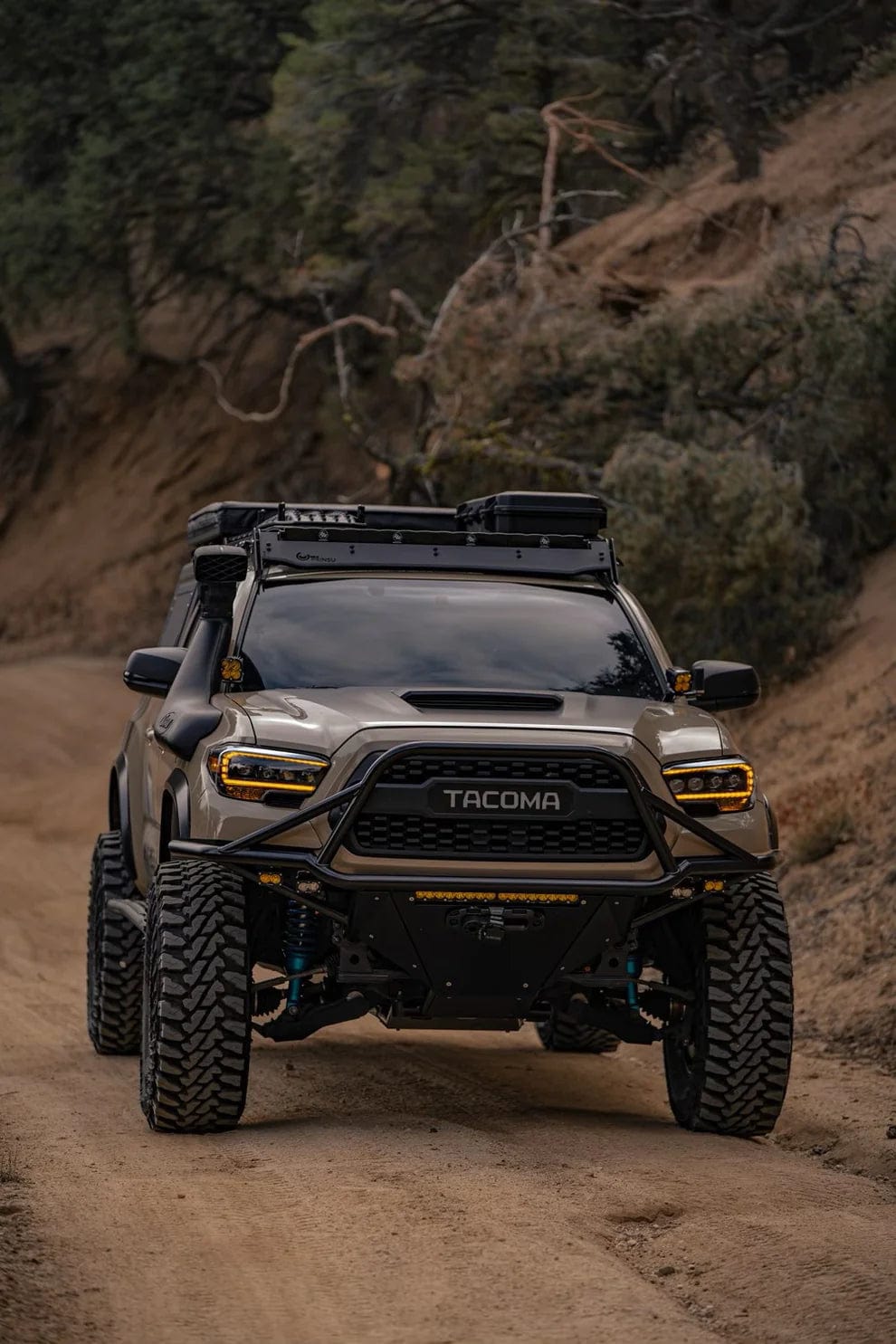 DIODE DYNAMICS 3rd Gen Tacoma 54 Overland "Winch" Bumper