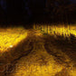 Diode Dynamics SAE Fog / N/A Stage Series 3" SAE Yellow Pro Angled LED Pod (Pair)