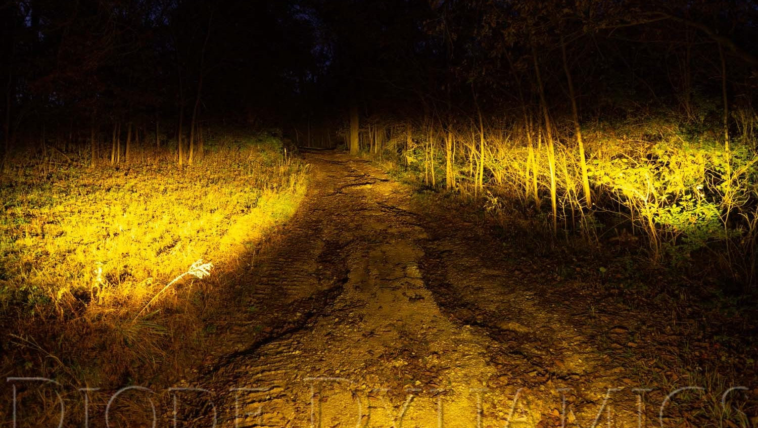 Diode Dynamics SAE Fog / None Stage Series 3" SAE Yellow Pro Round LED Pod (Pair)