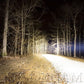 Diode Dynamics Stage Series 42" White Light Bar