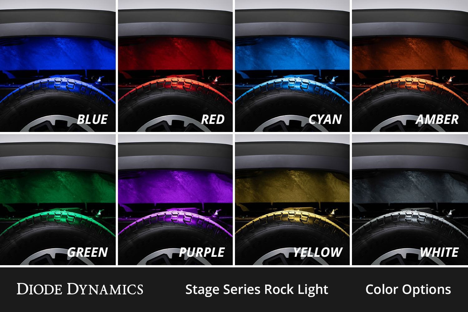 Diode Dynamics Stage Series RGBW LED Rock Light Kit (12-Pack)