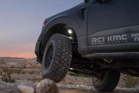 Diode Dynamics Stage Series Single-Color LED Rock Light (One)